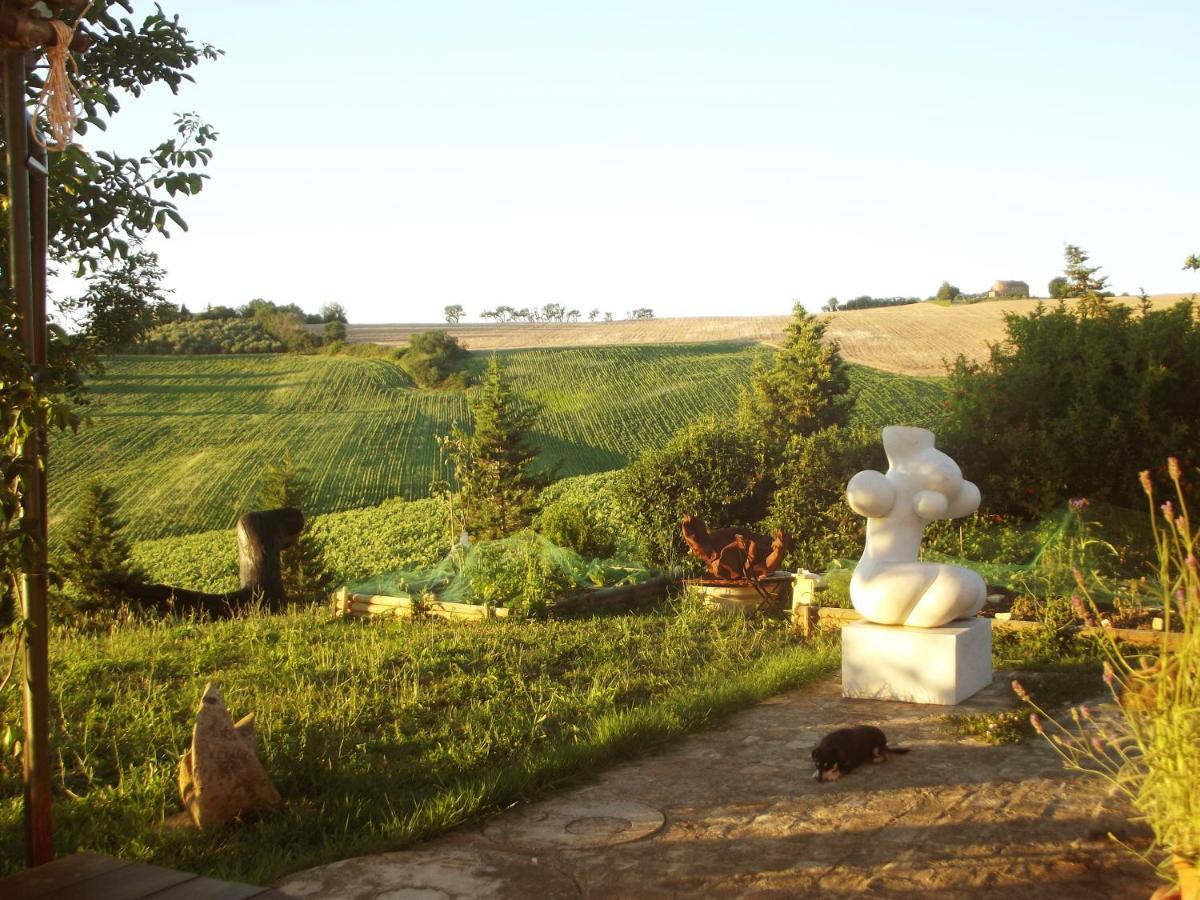 "La Casa Degli Ulivi Art B&B" Trecastelli Eksteriør bilde