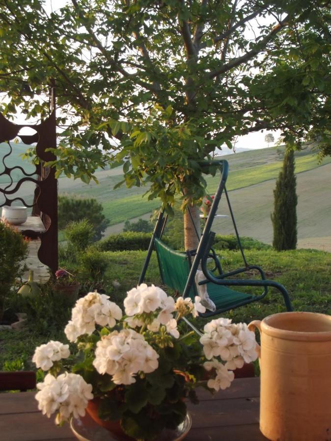 "La Casa Degli Ulivi Art B&B" Trecastelli Eksteriør bilde