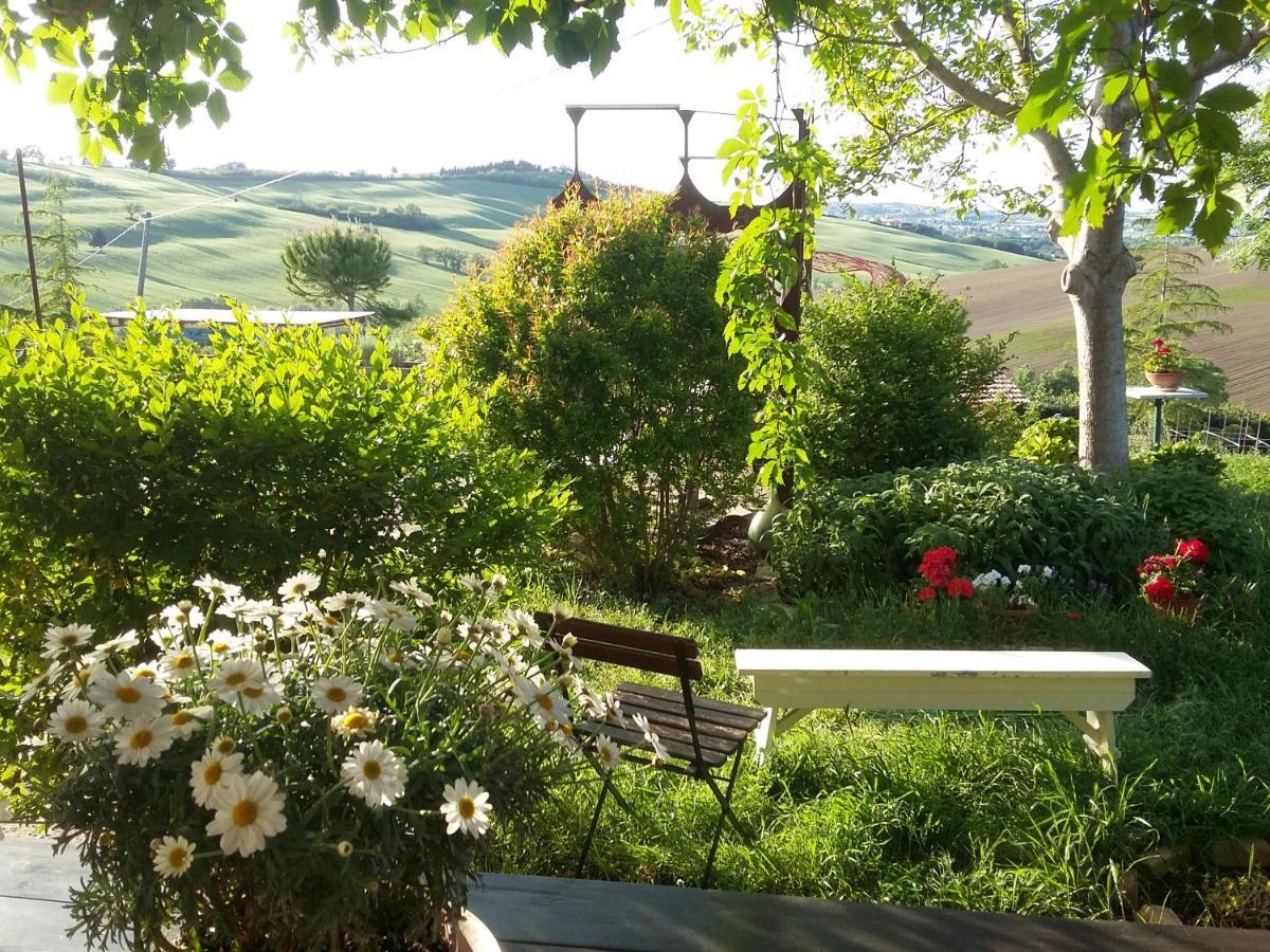 "La Casa Degli Ulivi Art B&B" Trecastelli Eksteriør bilde