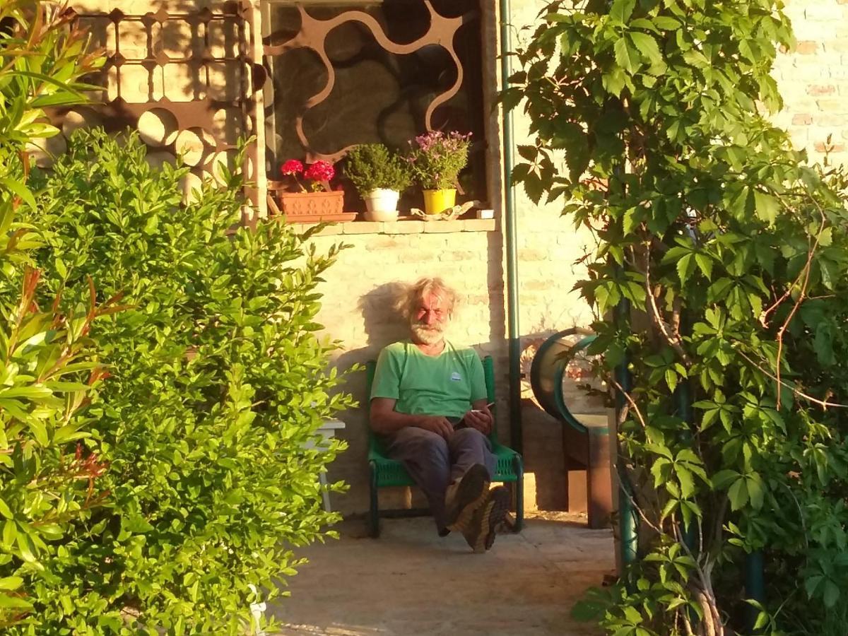 "La Casa Degli Ulivi Art B&B" Trecastelli Eksteriør bilde